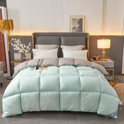 Hotel Winter Rapporter Premium per tutta la stagione